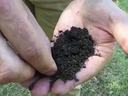 Hands holding and sifting dark garden soil in a cupped palm over grass