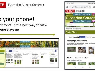 NC STATE Extension slide reading "Flip your phone!" with landscape arrow and webpage screenshots