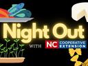 cartoon graphic for night out with Extension series containing fish, pasta, greens, and cheese