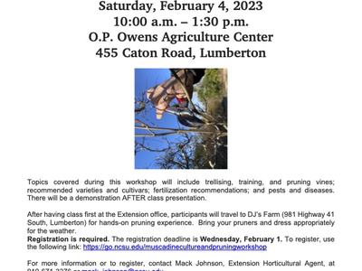 Muscadine Workshop — Feb 4, 2023, 10:00–1:30, O.P. Owens Ag Center, 455 Caton Rd, Lumberton