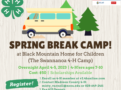 Spring break camp flyer- retro van and trees