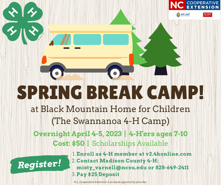 Spring break camp flyer- retro van and trees