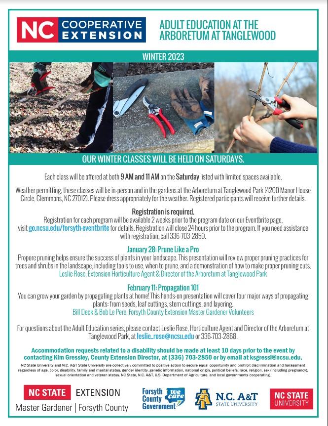 Winter 2023 Adult Education flyer