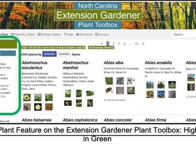 screen shot of Extension Gardener Plant Toolbox Find a Plant page