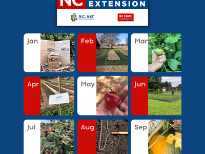 GASTON GROWER SPOTLIGHTS 2022 with NC Cooperative Extension logo and 12 monthly gardening photos