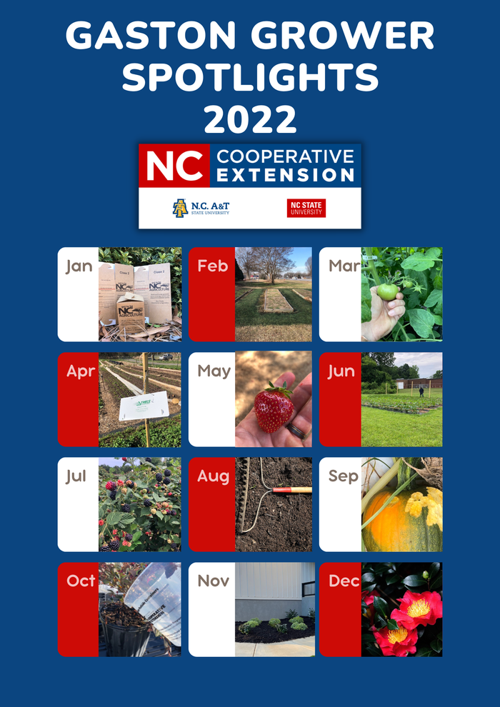 Calendar of various plant topics