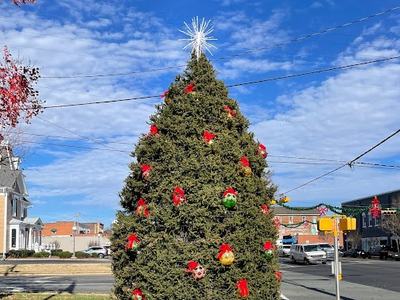 Decorated outdoor Christmas tree with star topper and red bows on a street corner