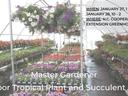Master Gardener Indoor Tropical Plant and Succulent Sale. When: January 27, 1-5, and January 28, 10-2. Where: NC Cooperative Extension Greenhouse