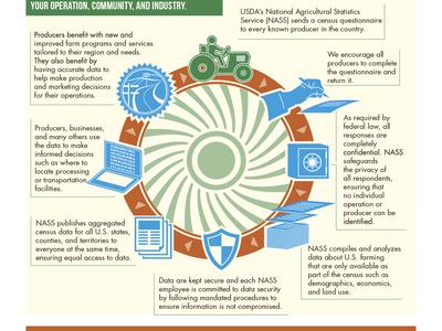 Ag Census Infographic