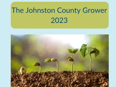 seedling progression from small to large