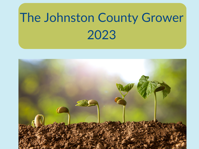 seedling progression from small to large