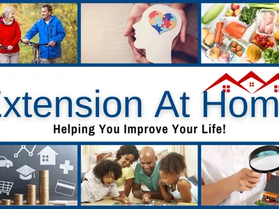 Extension Home Series