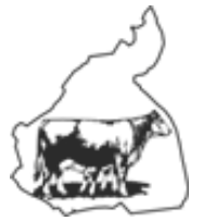 Cow & Calf in McDowell County NC