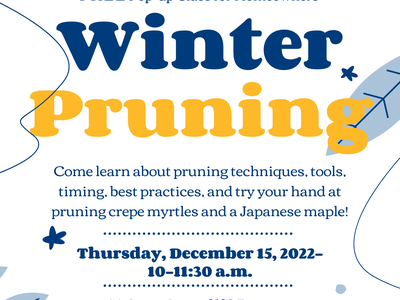 Pop-up Class: Winter Pruning 2023