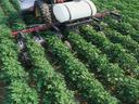 Tractor spraying crops