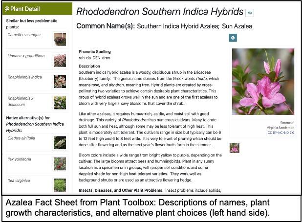 screen shot of azalea on plant toolbox