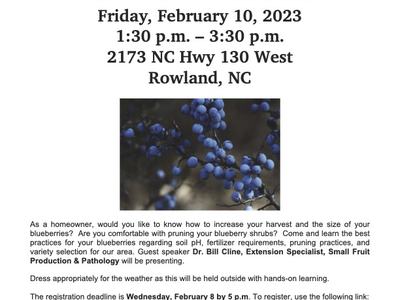 Better Blueberries 101 flyer — Feb 10, 2023, 1:30–3:30 PM, 2173 NC Hwy 130 W, Rowland, NC