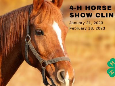 picture of a horse advertising 4-H horse show clinic