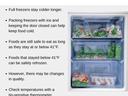 Food Safety
