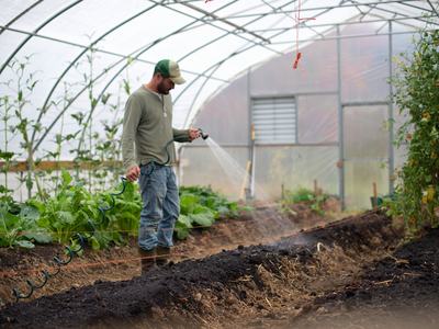 man watering garden plants in a high tunnel greenhouse by Zoe Schaeffer on Unsplash