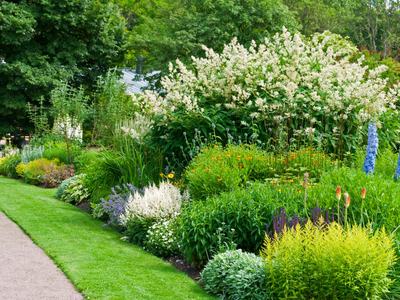 Spring garden with multicolored blossoms