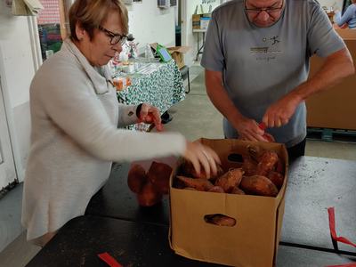 Two people packing sweet potatoes into a cardboard box on a table in a warehouse