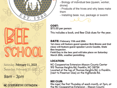 Bee School Flyer