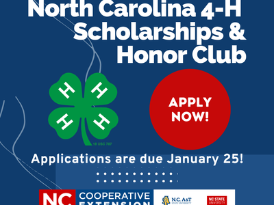 Image is a promotion for the NC 4-H scholarship and Honor Club application.