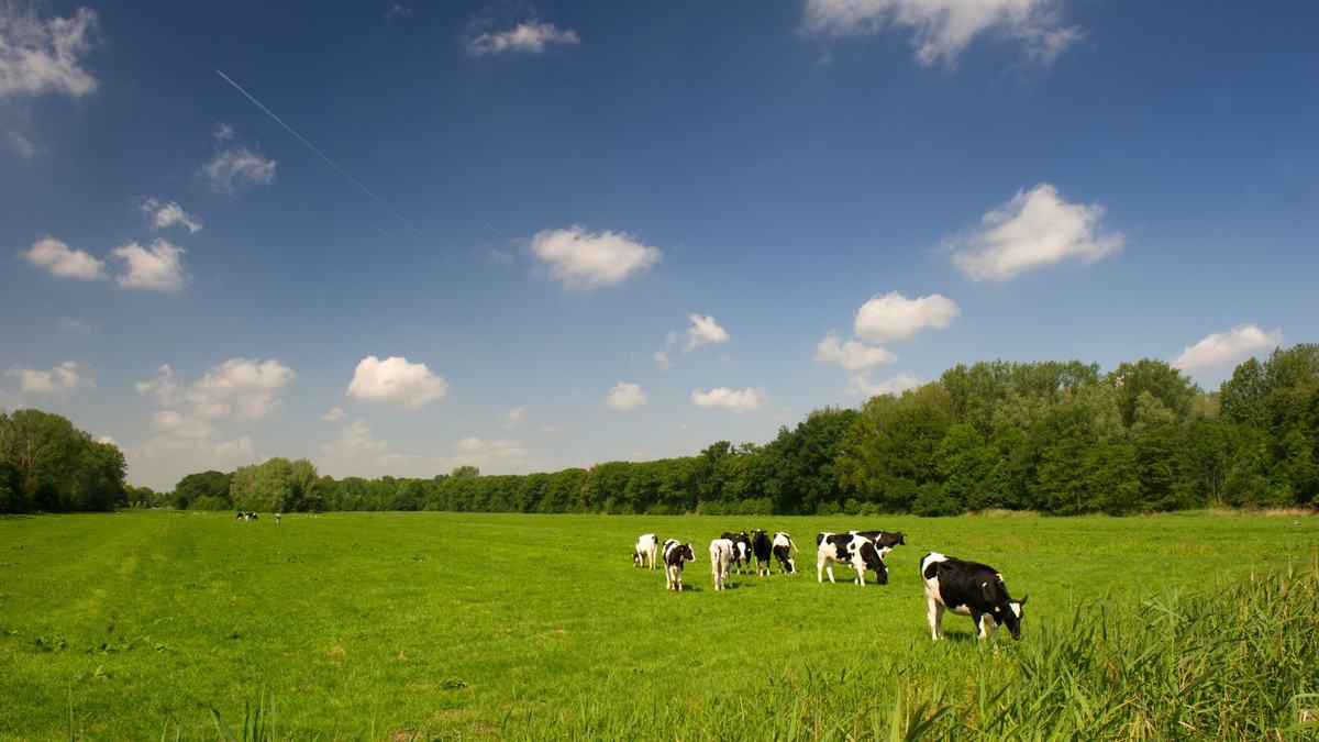Pasture Establishment and Maintenance Meeting, February 22 from 10:00 - 11:30.