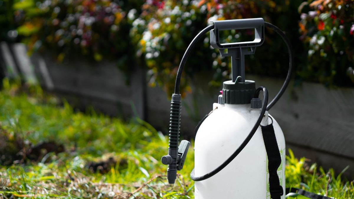 Spring garden with pump can