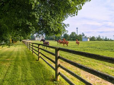 Pasture Establishment and Maintenance Meeting, February 22 from 10:00 - 11:30
