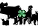 4-H Logo with outlines of livestock animals.