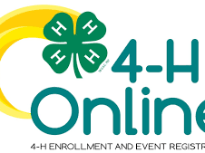4-H Online Logo