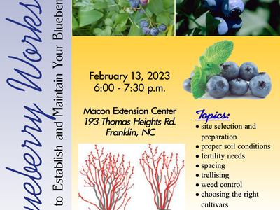Blueberry Workshop Flyer