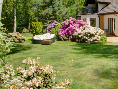 House with lawn, pink and purple rhododendron bushes and round outdoor sofa