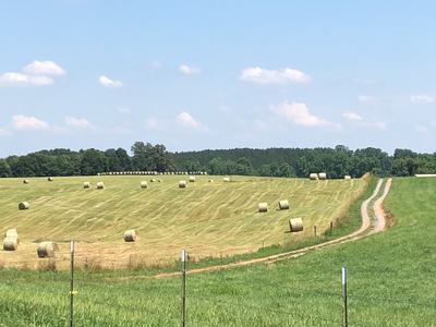 A field with hay bails.