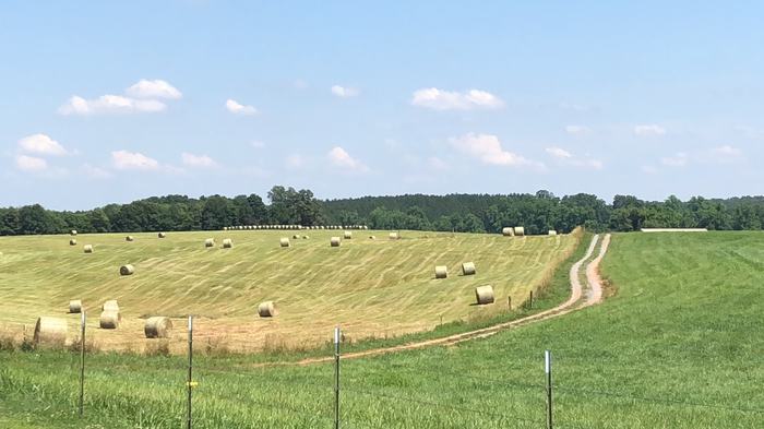A field with hay bails.