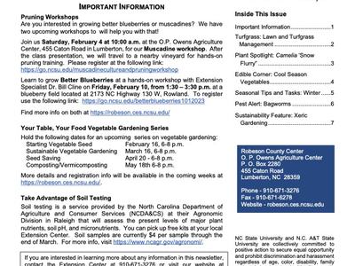 Cover page of Winter edition newsletter