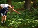 Man and boy in woods examining plants; man points at low leafy vegetation.