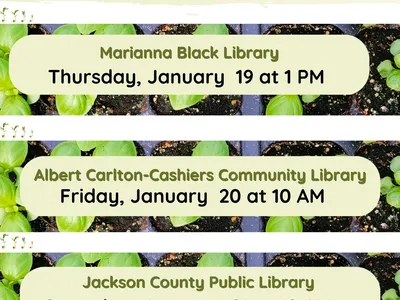 Seed Starting with Minda Daughtry Nc Cooperative Extension Agent - Horticulture