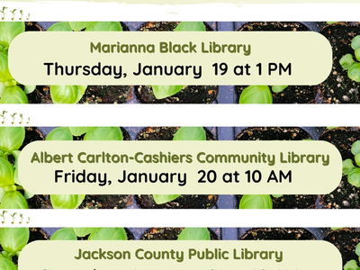 Seed Starting with Minda Daughtry Nc Cooperative Extension Agent - Horticulture