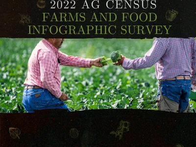 Farms and Food Infographic survey (1)