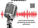 Podcast Artwork