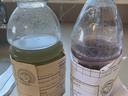 waste sample bottles