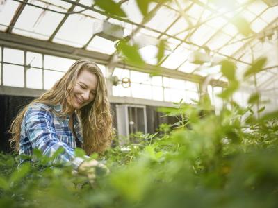 Woman tending green plants inside a sunlit greenhouse
