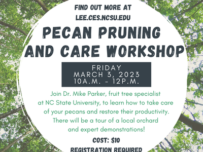 Pecan Pruning and Care Workshop