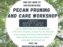 Pecan Pruning and Care Workshop