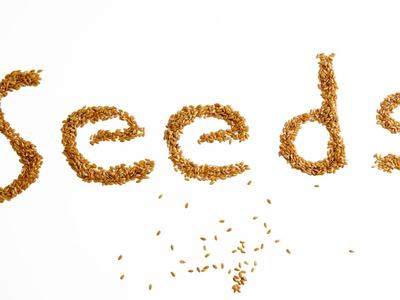 The Wonderful World of Seed Blocking, February 2 from 10:00 -11:00.