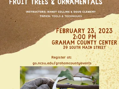 Pruning Workshop Flyer with information