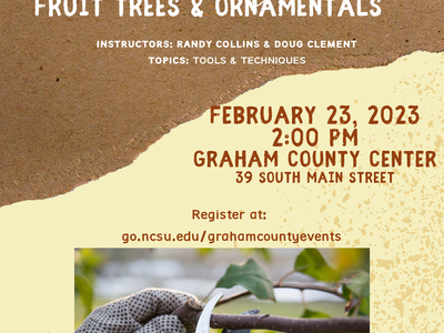 Pruning Workshop Flyer with information